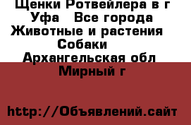 Щенки Ротвейлера в г.Уфа - Все города Животные и растения » Собаки   . Архангельская обл.,Мирный г.